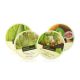 [THE FACE SHOP] Herb Day Cleansing Cream 150ml 4 Type