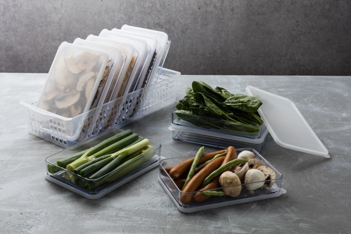 Silicook ] Fridge Food Storage - Flat Large Tray set, 11pcs - Kitchen  Supplies - Home & Living