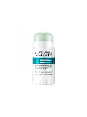 [MAXCLINIC] Ecoglam Cica Cure Stick 25g