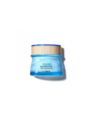 [THE SAEM] Iceland Aqua Moist Cream 60ml